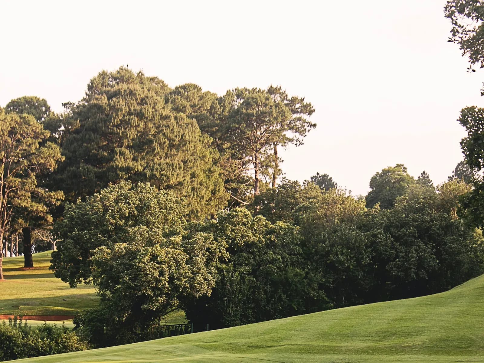 Visuel d'ambiance — Parcours de golf